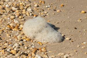 The pretty seafoam hers in this picture lay from the winds bringing it in from the ocean. It lays stranded here among little smooth shiny pebbles on the beach. The pretty brown sand surrounding. photo