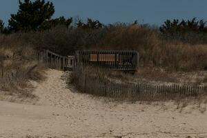 This brown deck comes out from the sand dunes. It has a wooden path to keep people off the protected area. This help people to come to the beach. The pretty colors all around with the sand in front. photo