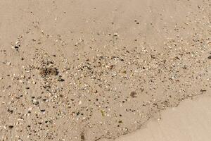 Pretty pieces of seashells spread across the brown sand. Tiny smooth pebbles mixed in. This is the typical look of Sunset beach in Cape May New Jersey. All of the debris that has been washed ashore. photo