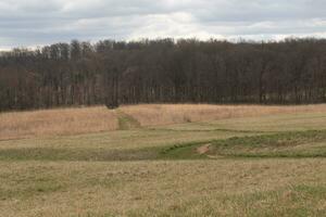 Beautiful green walking path seen cutting through a brown field. Tall grass all around with Autumn colors. Large trees can be seen in the background of a wooded area. Grey skies above with clouds. photo