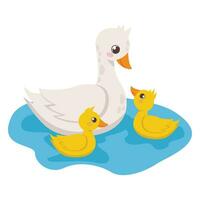 Farm animals. Cute duck with ducklings swims in lake. Vector graphic.