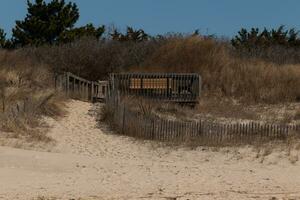 This brown deck comes out from the sand dunes. It has a wooden path to keep people off the protected area. This help people to come to the beach. The pretty colors all around with the sand in front. photo