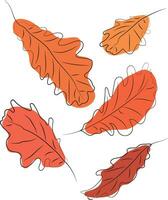 Oak leaves. Colored line art. Leaves drawn with black lines. High quality vector illustration.