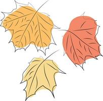 arce hojas. línea Arte. otoño color línea Arte. alto calidad vector ilustración.