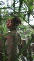 jung schön schwarz afrikanisch Frau suchen um im das Wald draussen. Frau Porträt im das Dschungel, tropisch Wald video