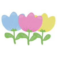 blommor olja måla png