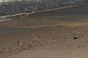 I loved the look of the ocean coming into the beach here. The sea foam slowly washing over the pretty pebbles some of which look like gems and are translucent all very smooth from being tumbled. photo