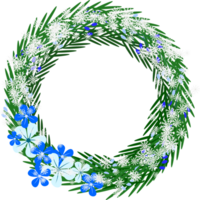 Blue flower spring wreath with snowfall and pine leaves clipart png