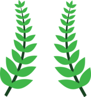 Boho leaves Illustration png