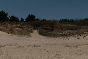 esta marrón cubierta viene fuera desde el arena dunas. eso tiene un de madera camino a mantener personas apagado el protegido área. esta ayuda personas a ven a el playa. el bonito colores todas alrededor con el arena en frente. foto