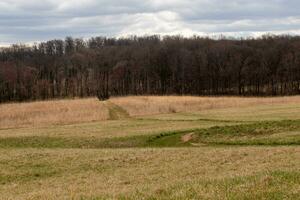 This beautiful walking path was cut through the field. The green, well-manicured lawn standing out among all the brown tall grass. This trail heads through a nature preserved around a wooded area. photo