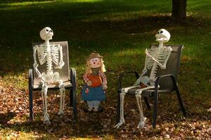 This is Halloween. These skeletons have been put out for display to help decorate for the spooky season. The little scarecrow in the center to symbolize Autumn or the Fall season. photo