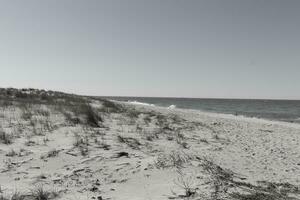 Beautiful beach in Cape May New Jersey. Brown sand all about with footprints all around. Green dunes shown at the top. Pretty blue clear sky above. photo