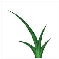 Grass vector png