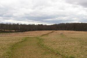 Beautiful green walking path seen cutting through a brown field. Tall grass all around with Autumn colors. Large trees can be seen in the background of a wooded area. Grey skies above with clouds. photo