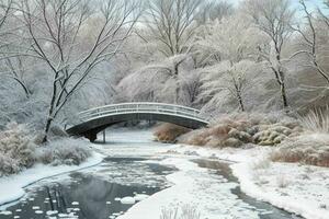 Winter at the garden, showing a bridge over frozen water and trees covered with snow. background. AI Generative Pro Photo