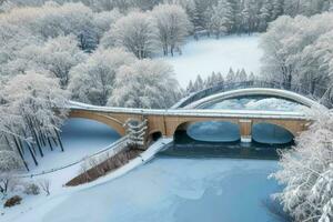 invierno a el jardín, demostración un puente terminado congelado agua y arboles cubierto con nieve. antecedentes. ai generativo Pro foto