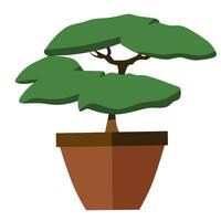 un árbol en maceta vector ilustración.