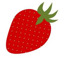 A strawberry fruit illustration. vector