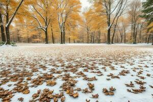 fallen leaves in snowy forest park. background. AI Generative Pro Photo