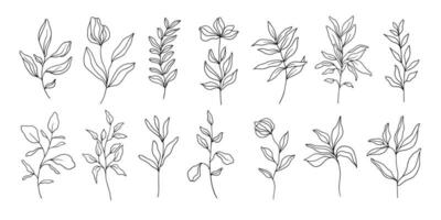 Abstract line art collection with floral elements, leaves and plants. Hand drawn floral elements vector