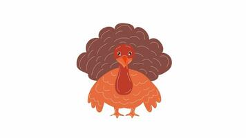 Cartoon Turkey in a pilgrim hat character animation. Video flat cartoon animation design element. 4K video footage, alpha channel transparency