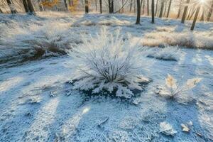 escarchado caído hojas con brillante hielo escarcha en Nevado bosque parque. antecedentes. ai generativo Pro foto