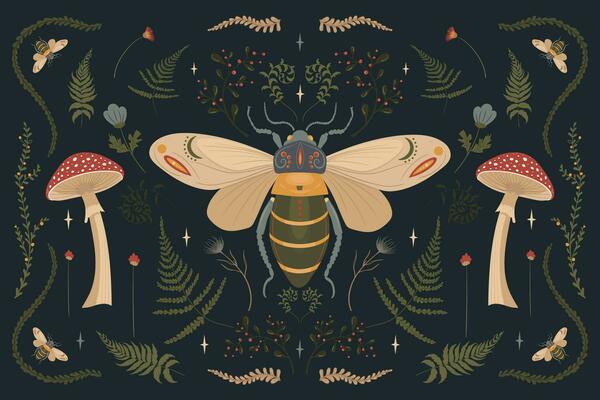 Forest poster, fly agaric, beetle, fern, on a dark background.