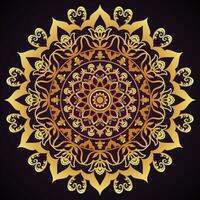 Luxurious Mandala design vector