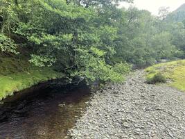 un ver de el norte Gales campo a lago vyrnwy foto