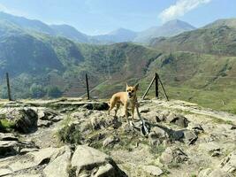 A view of the North Wales Countryside near Mount Snowden on a sunny day photo