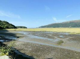 un ver de el norte Gales campo en el mawddach sendero foto