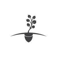 Olive tree vector illustration