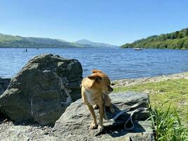 A view of the North Wales countryside at Bala Lake on a sunny day photo