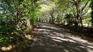 Herbst Fahrt durch still Landschaft Straßen video