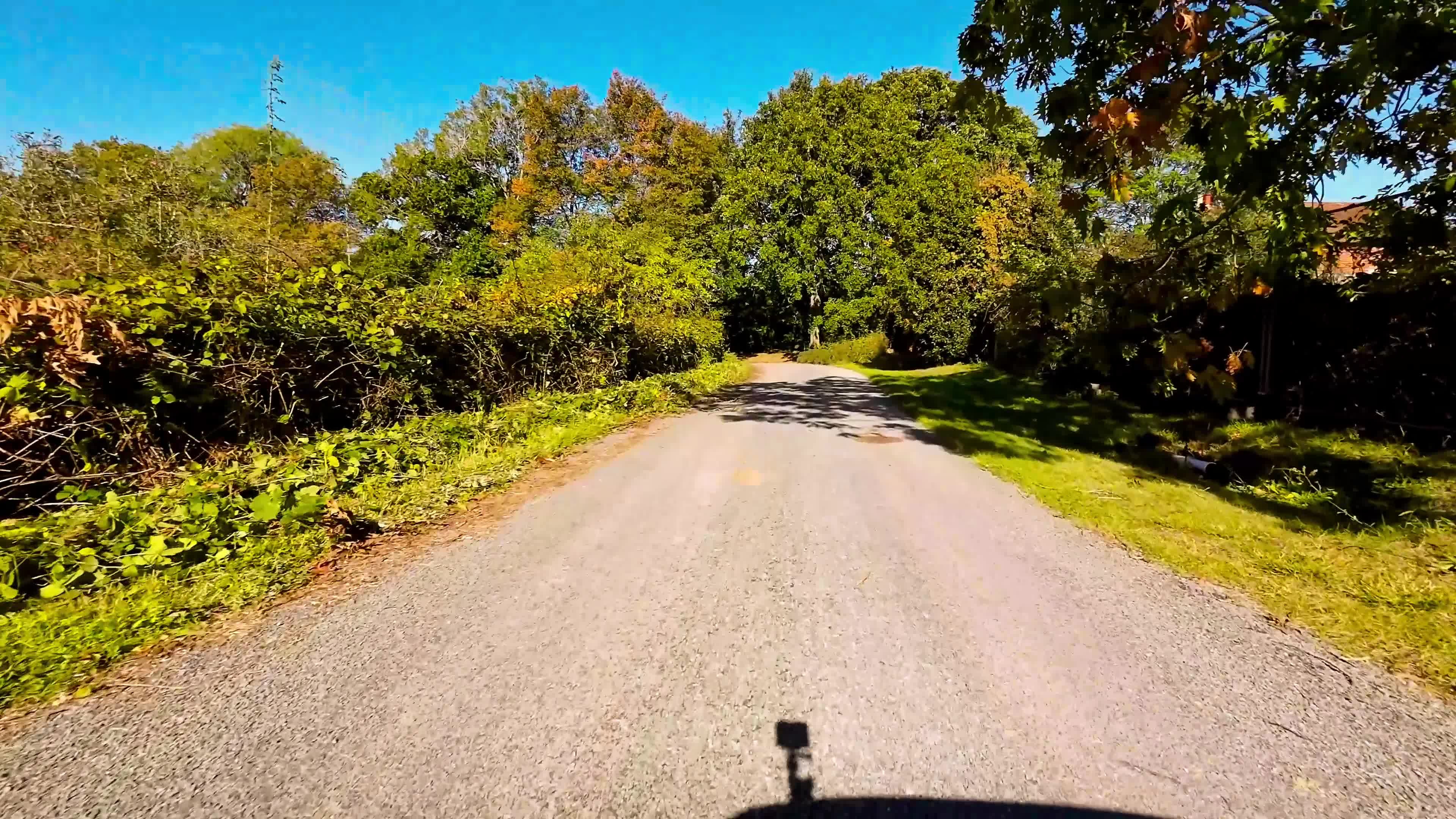 The Secret Lives Of Crabs:  A Colorful Journey - qo0eekz