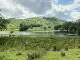 un ver de el lago distrito cerca grasmere foto