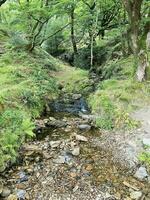 un ver de el norte Gales campo cerca lyn mawr en Snowdonia foto