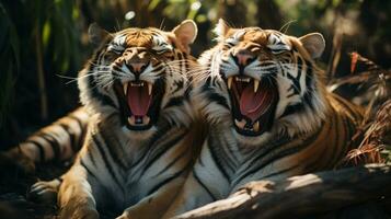 photo of heart-melting two Tigers with an emphasis on expression of love. Generative AI