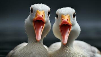 photo of heart-melting two Gooses with an emphasis on expression of love. Generative AI