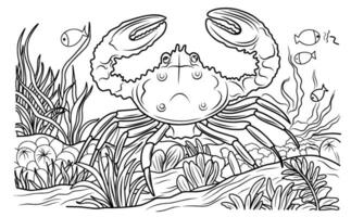 Sea crab with algae. Underwater world.Simple line illustration for coloring crab.Coloring page. vector