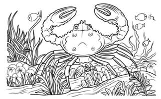 Sea crab with algae. Underwater world.Simple line illustration for coloring crab.Coloring page. vector