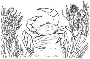 Sea crab with algae. Underwater world.Simple line illustration for coloring crab.Coloring page. vector