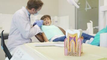 Young boy having his teeth examined by dentist, selective focus on tooth model video