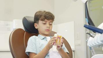 Cute young boy smiling to the camera, holding tooth model video