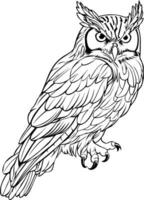 Owl Realistic Animal Coloring Book Illustration Hand Drawn Animal Drawing vector