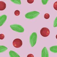 Seamless cranberry pattern vector