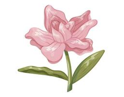 Cartoon beautiful blooming pink rose flower. Vector isolated plant, Stem with leaves and bud with petals.