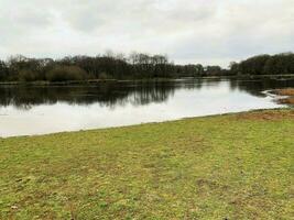 un ver de marrón musgo naturaleza reserva cerca whitchurch en Shropshire foto