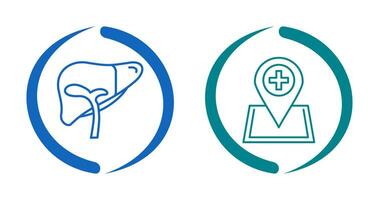 Liver and Location Icon vector